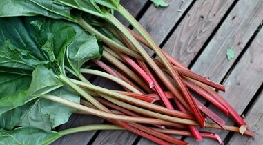 Sorrel- ը մակաբույծները մարմնից հեռացնելու համար
